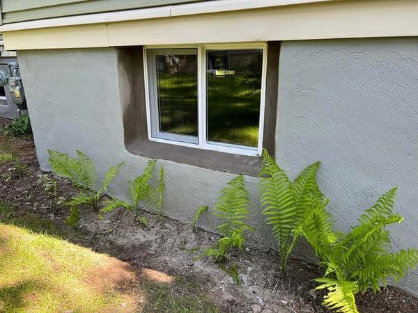 Basement egress window installation with fern landscaping and stucco foundation